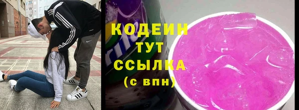 прущие грибы Инсар