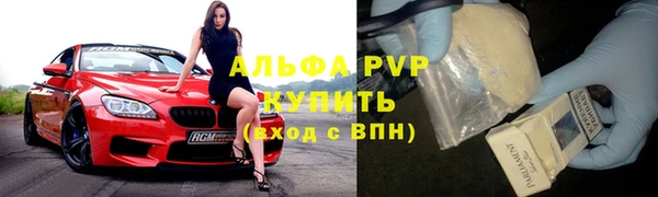 прущие грибы Инсар
