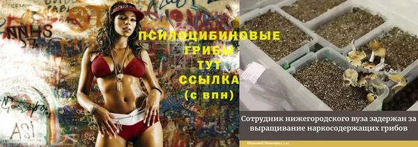 сатива Зеленодольск