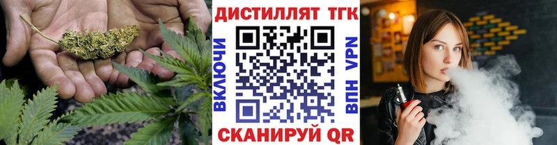 Купить где  Павловск  ТГК концентрат 