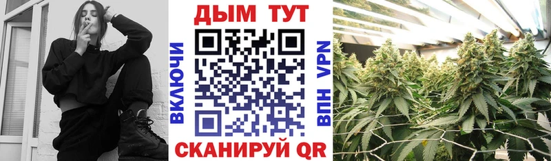 Купить закладки  Павловск  МАРИХУАНА сатива 